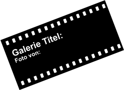 Galerie Titel: Foto von: