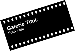 Galerie Titel: Foto von: